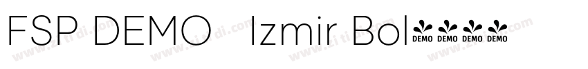 FSP DEMO   Izmir Bol字体转换